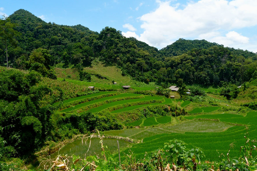 p1000329