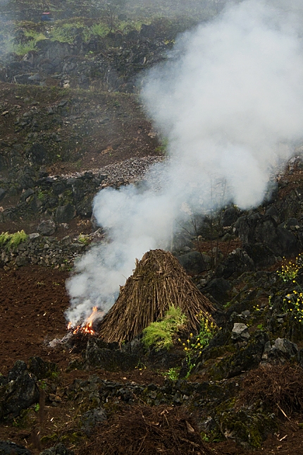 p1120179